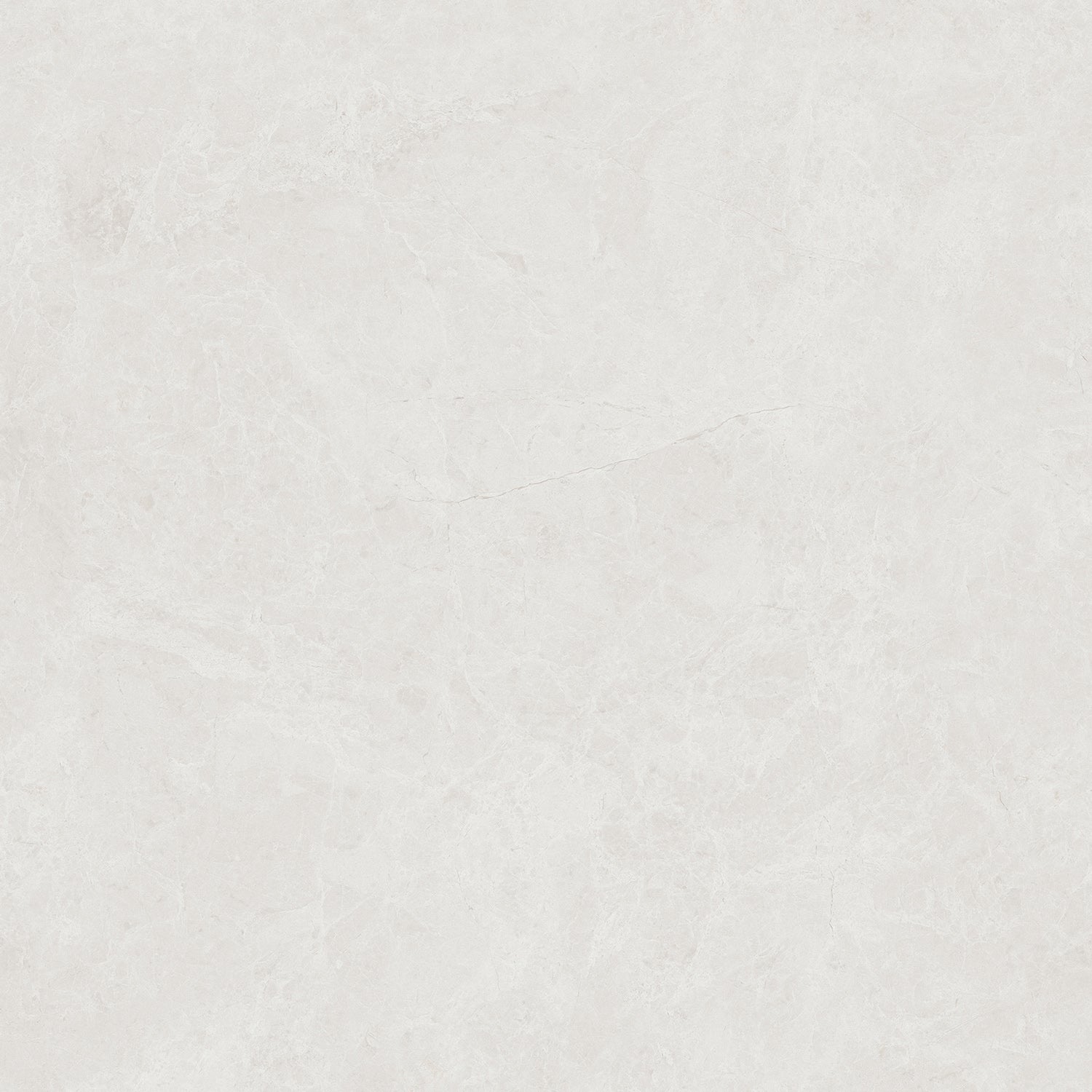 32 X 32 Hibiscus White