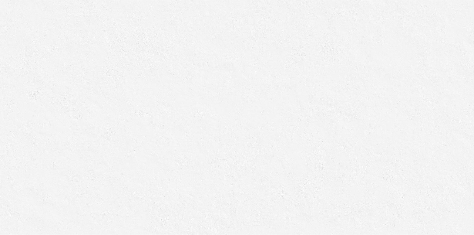 24 X 48 Jane White (Micro Texture)